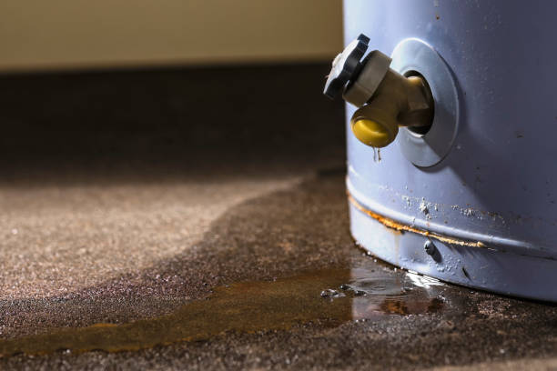 Best Water Damage Assessment and Inspection in USA